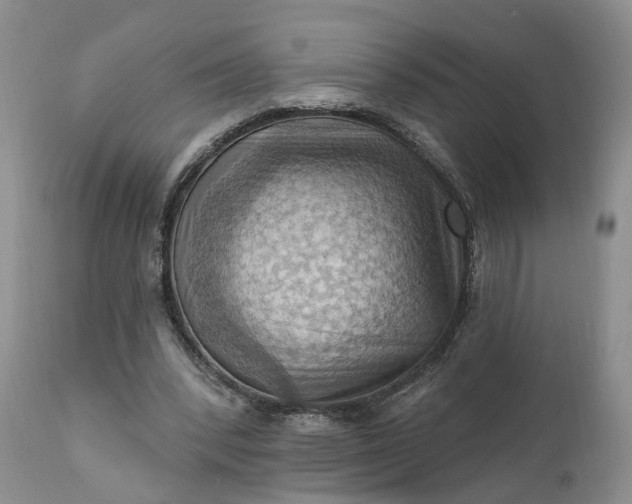 X0000111360392200907241227
