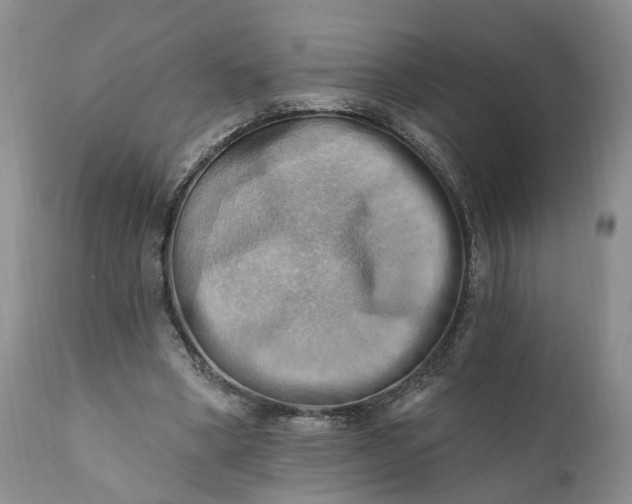 X0000111360394200907241227