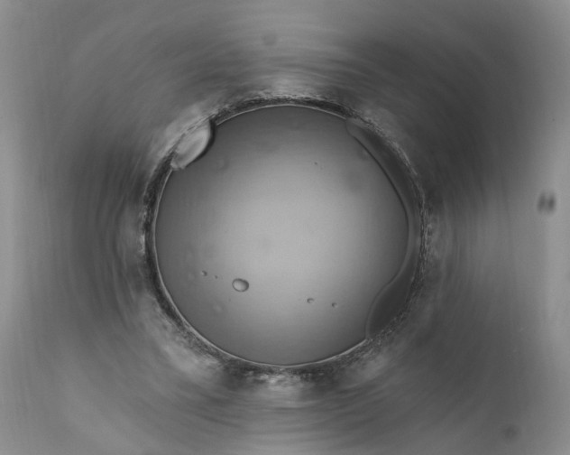 X0000111360395200907241227