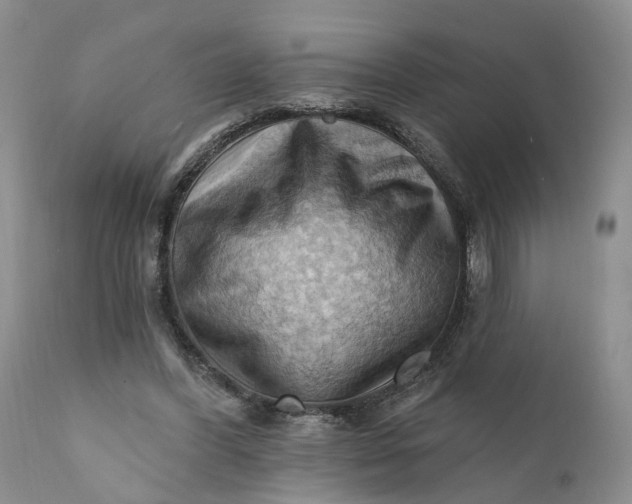 X0000111360396200907241227
