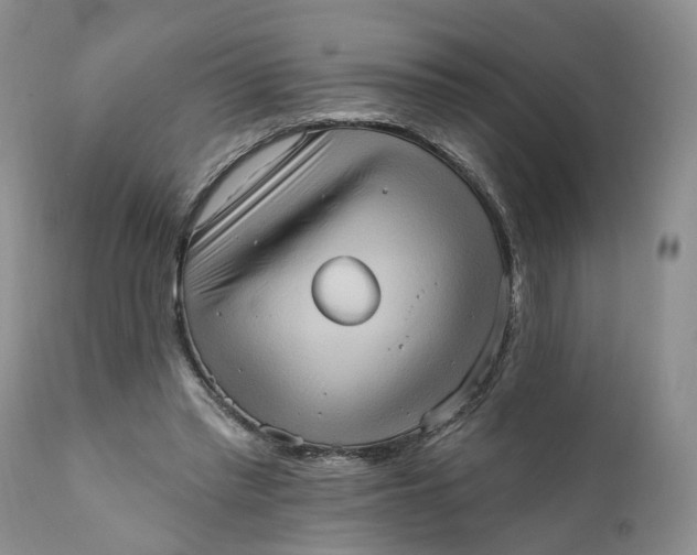 X0000111360397200907241227