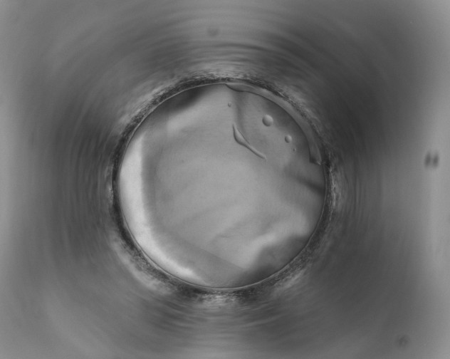 X0000111360398200907241227