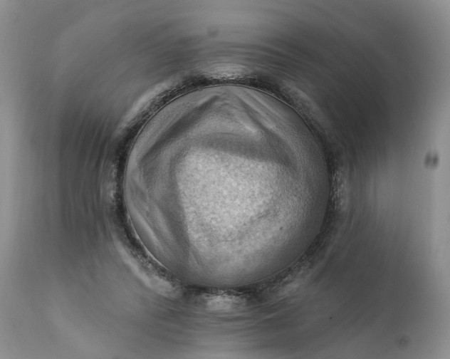 X0000111360400200907241227
