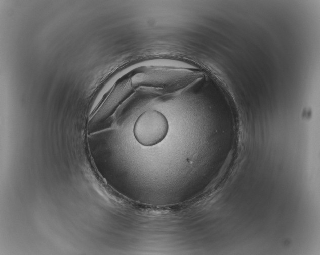 X0000111360401200907241227