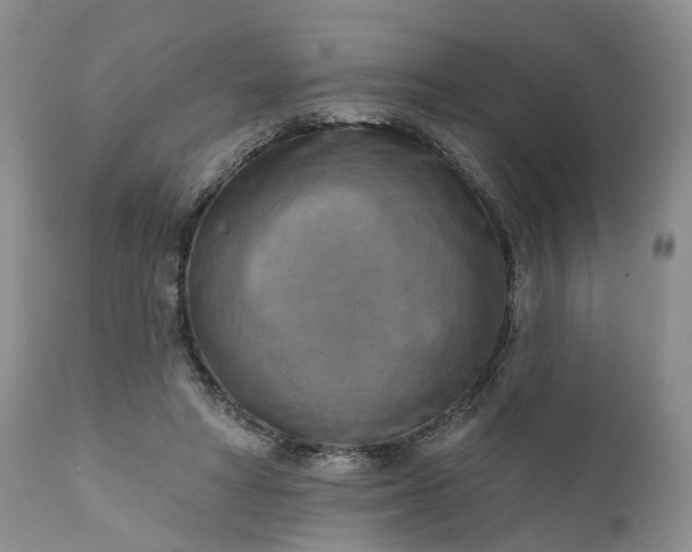 X0000111360402200907241227