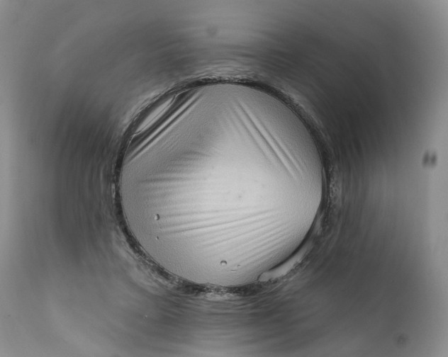 X0000111360403200907241227
