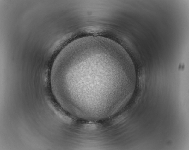X0000111360404200907241227