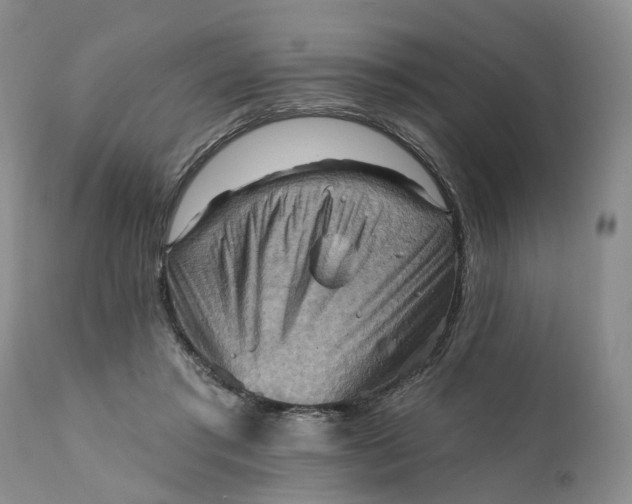 X0000111360405200907241227