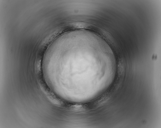 X0000111360406200907241227