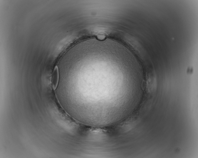 X0000111360407200907241226