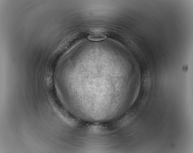 X0000111360408200907241226