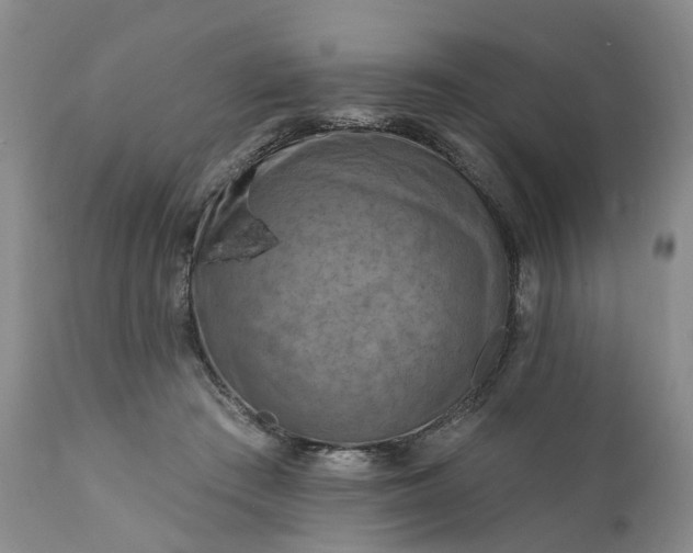 X0000111360409200907241226