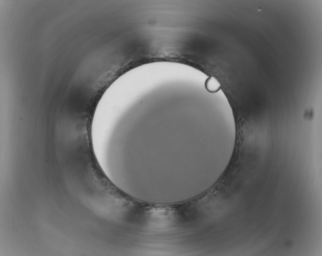 X0000111360415200907241226
