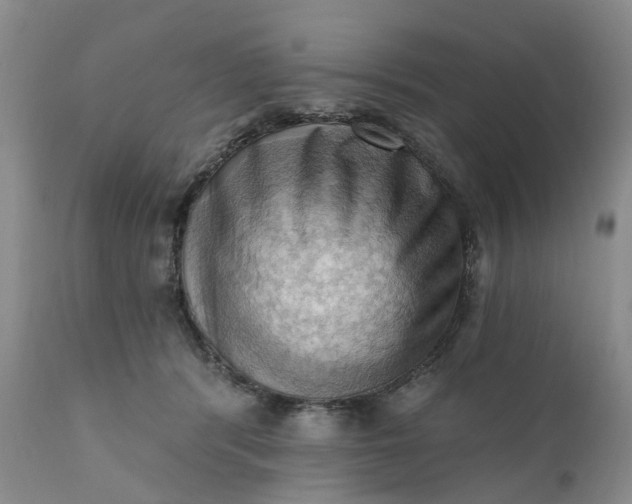 X0000111360416200907241226