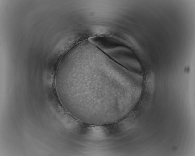 X0000111360417200907241226