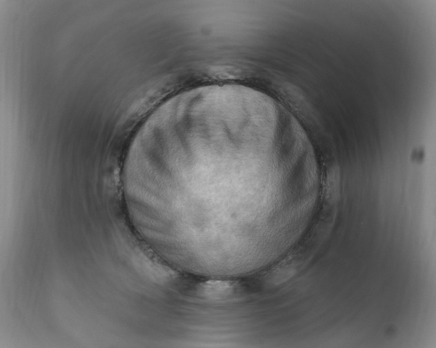 X0000111360418200907241226