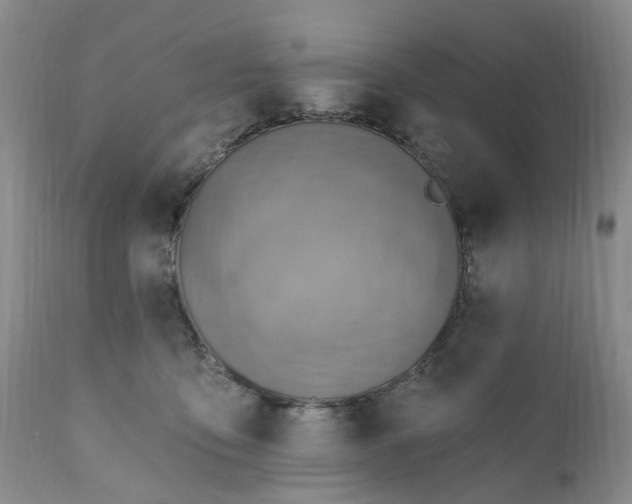 X0000111360419200907241226