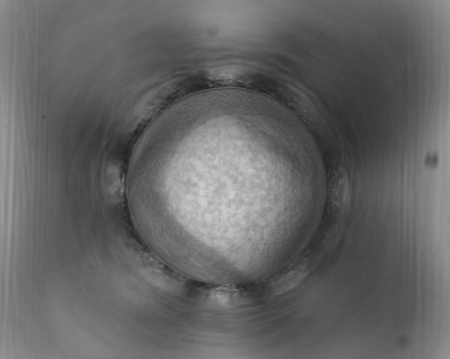 X0000111360420200907241226