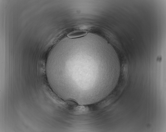 X0000111360421200907241226