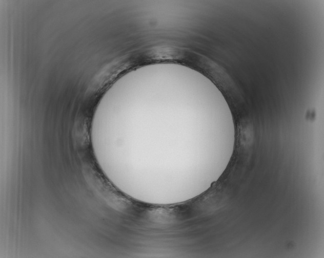 X0000111360422200907241226