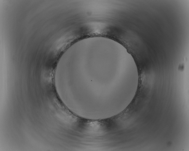 X0000111360423200907241226