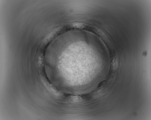 X0000111360424200907241226