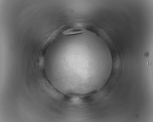 X0000111360425200907241226