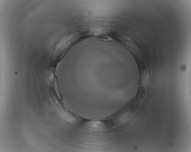 X0000111360427200907241226