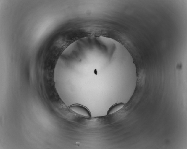 X0000111360430200907241226