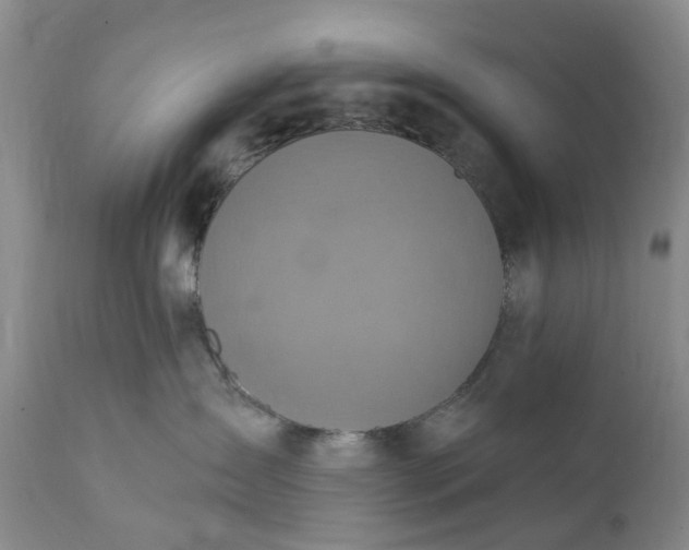 X0000111360431200907241226