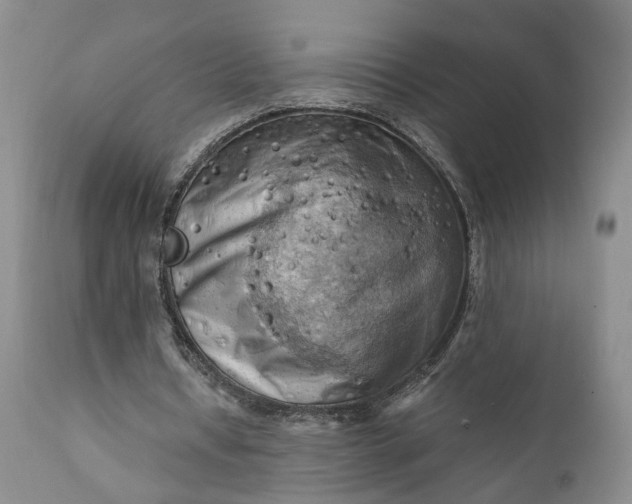 X0000111360434200907241225