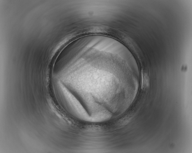 X0000111360435200907241225