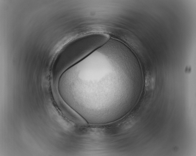 X0000111360436200907241225