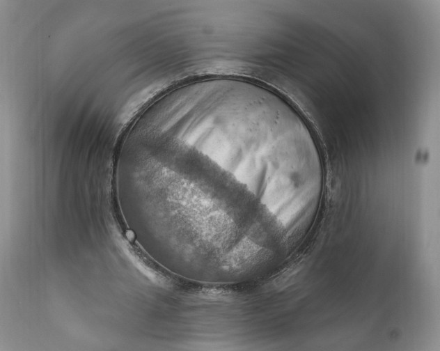 X0000111360437200907241226