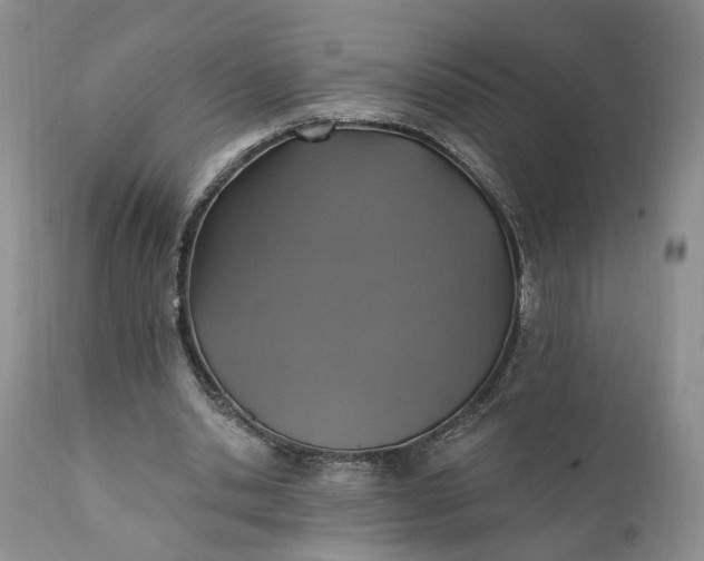 X0000111360438200907241226