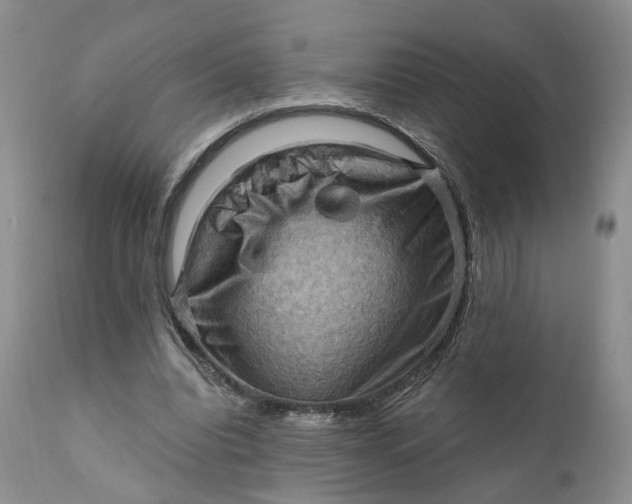 X0000111360440200907241226