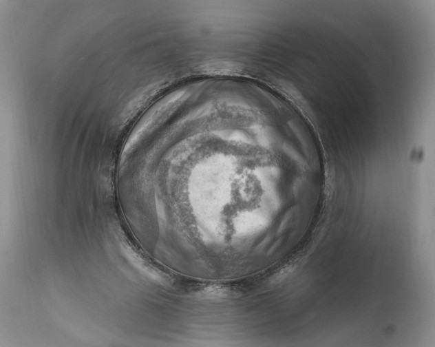 X0000111360441200907241226