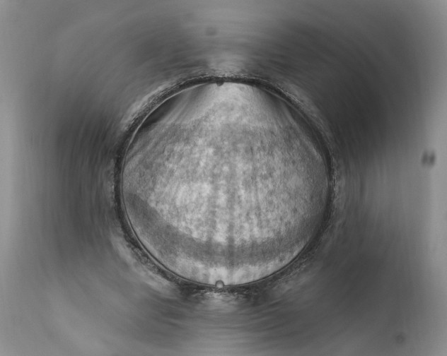 X0000111360442200907241226