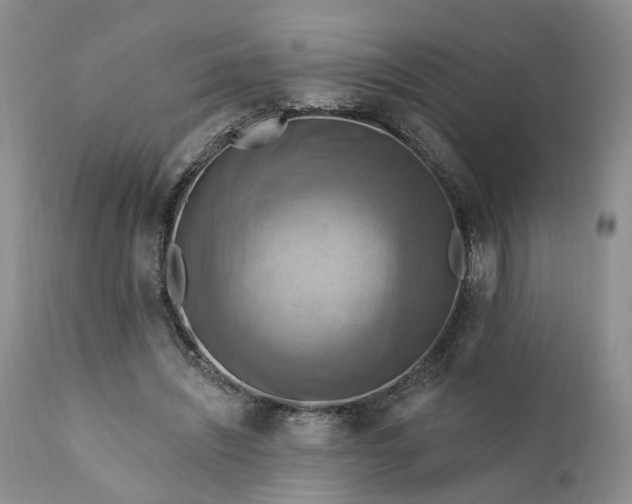 X0000111360444200907241226