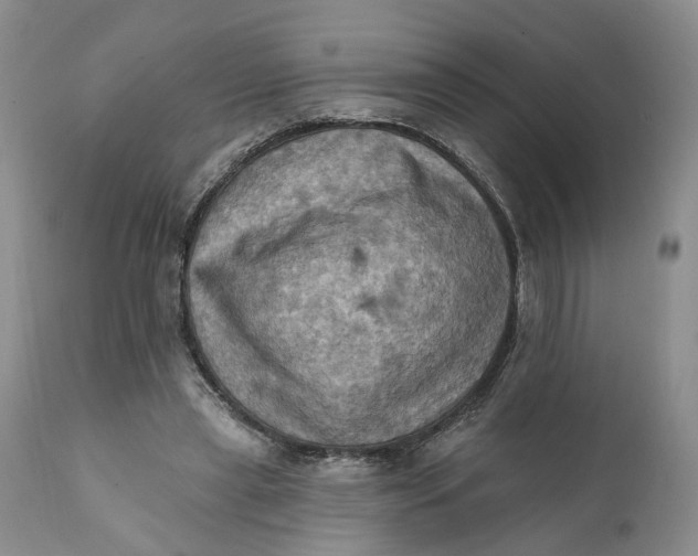 X0000111360445200907241226