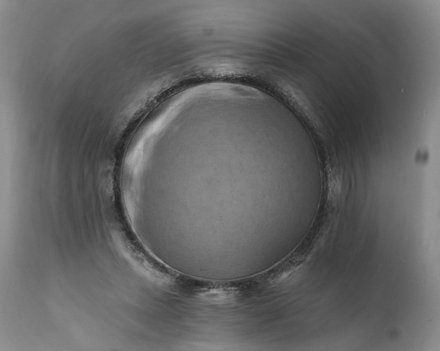 X0000111360447200907241226