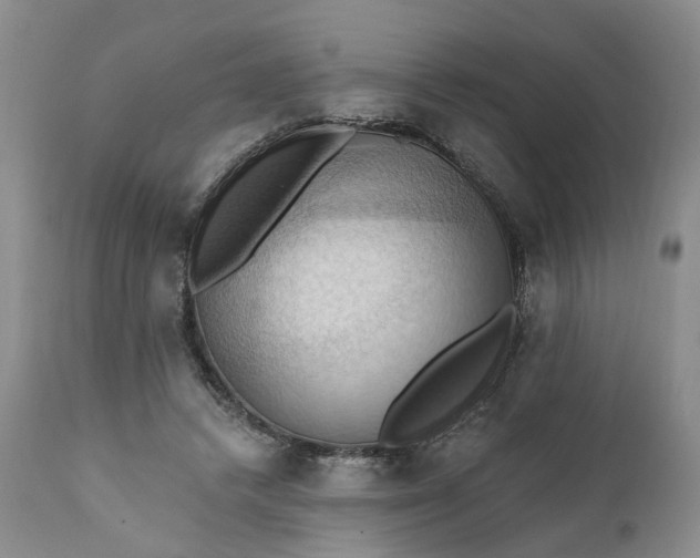 X0000111360448200907241226
