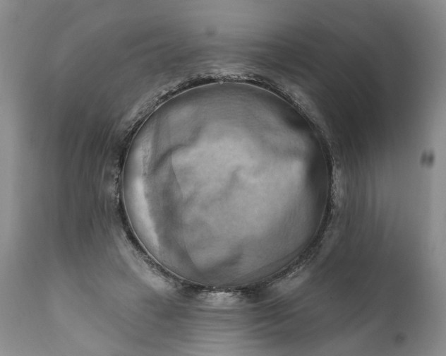 X0000111360449200907241226