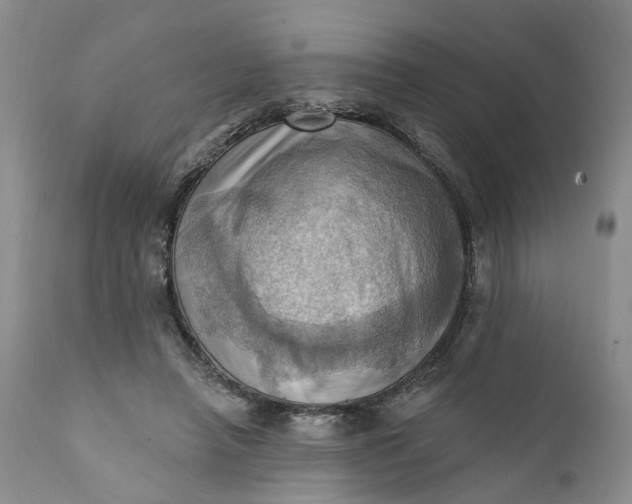 X0000111360450200907241226