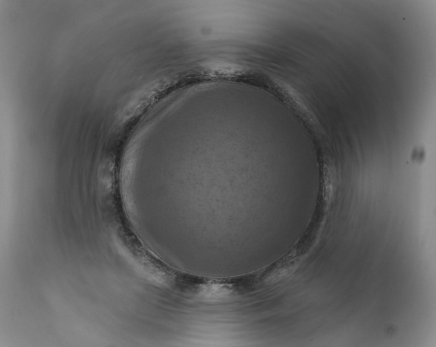 X0000111360451200907241226