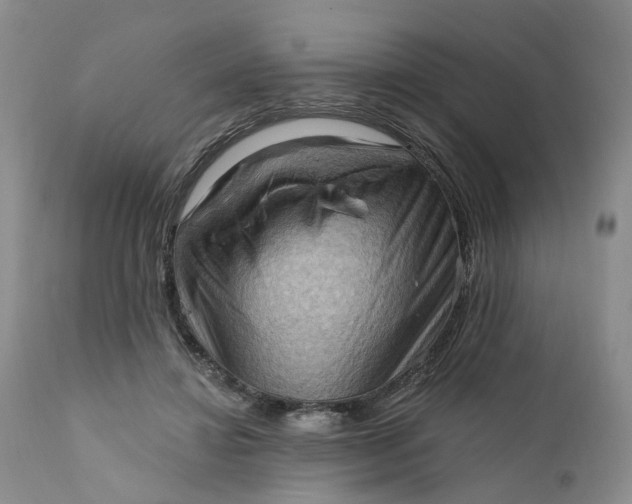X0000111360452200907241226
