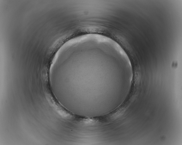 X0000111360453200907241226
