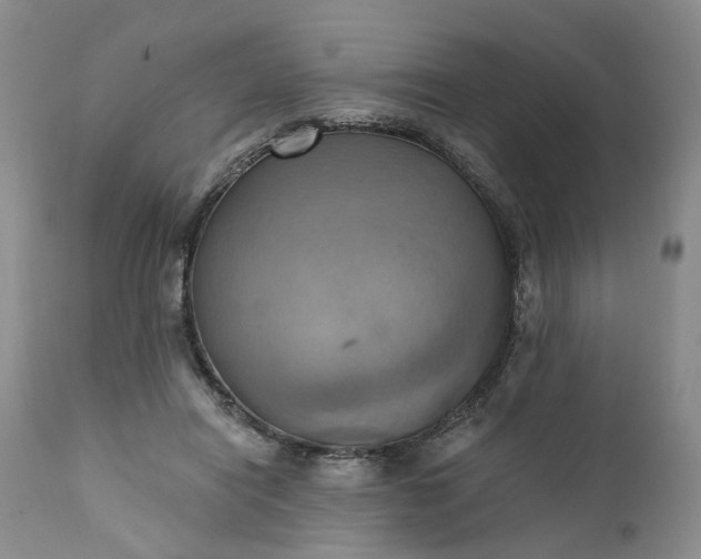 X0000111360454200907241226
