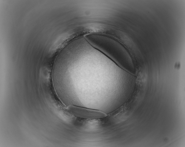 X0000111360456200907241226