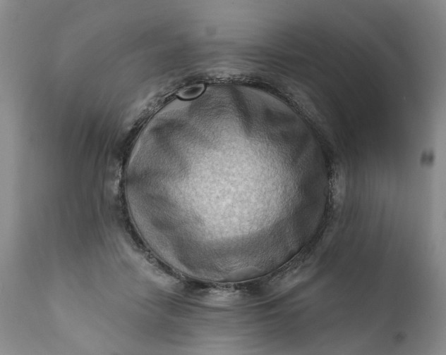 X0000111360458200907241226